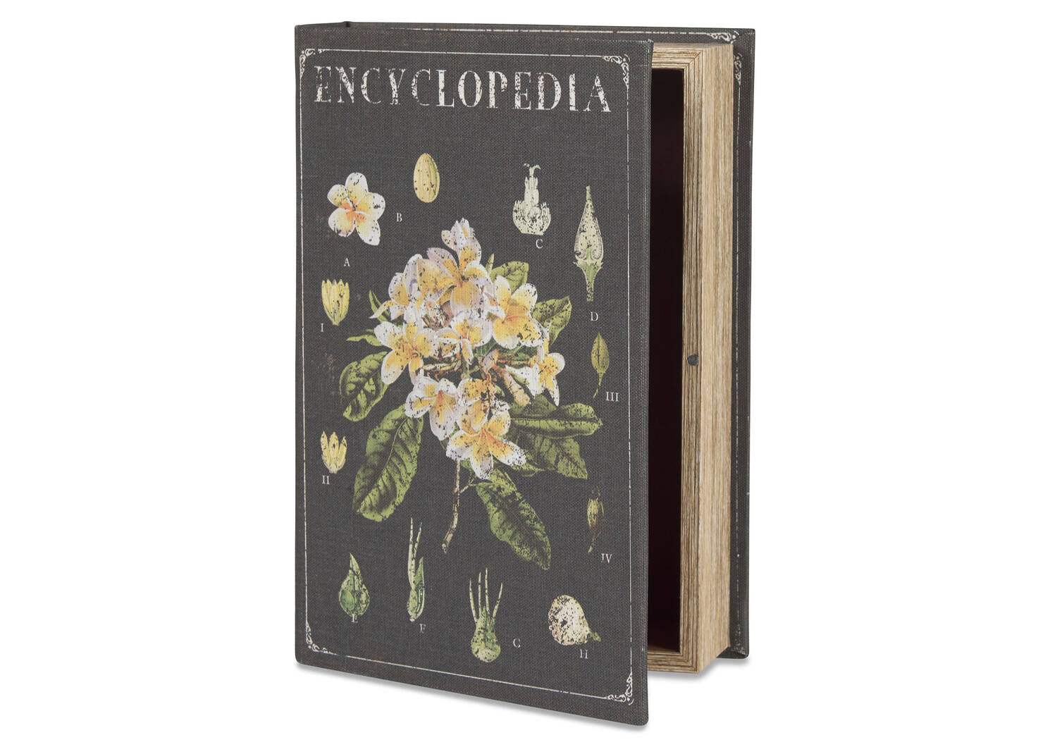 Grande boîte-livre Encyclopedia noire