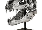 Paleo Head Statue Silver