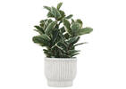 Lyne Planter Large