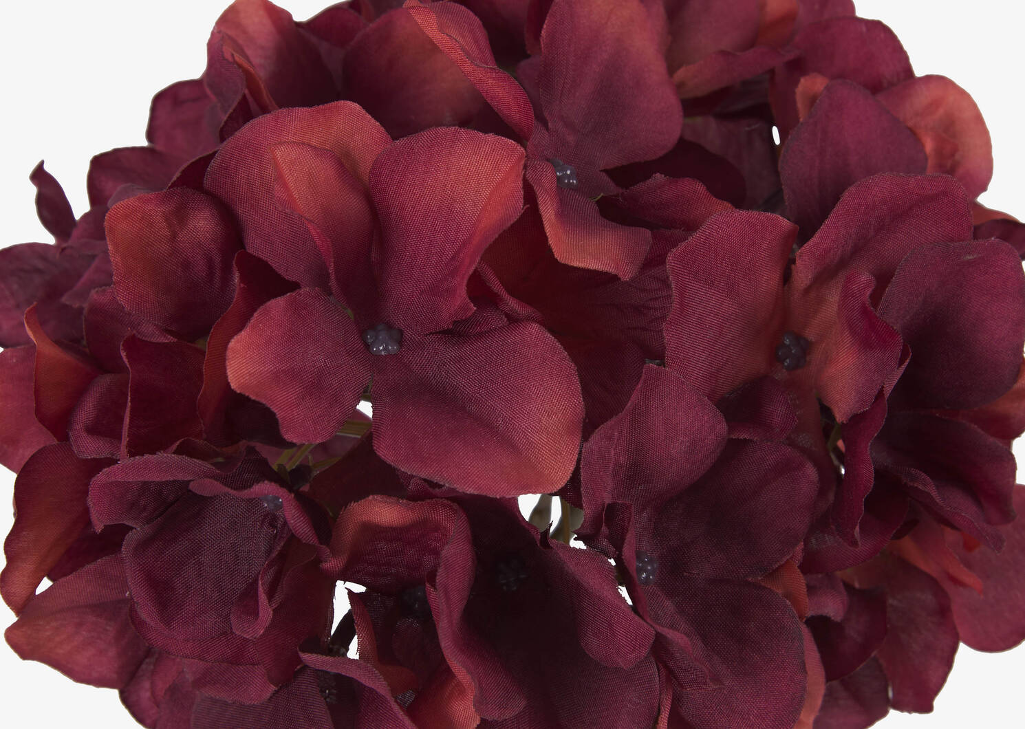 Shae Hydrangea Stem Red