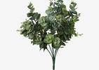 Bouquet d'eucalyptus Kadey