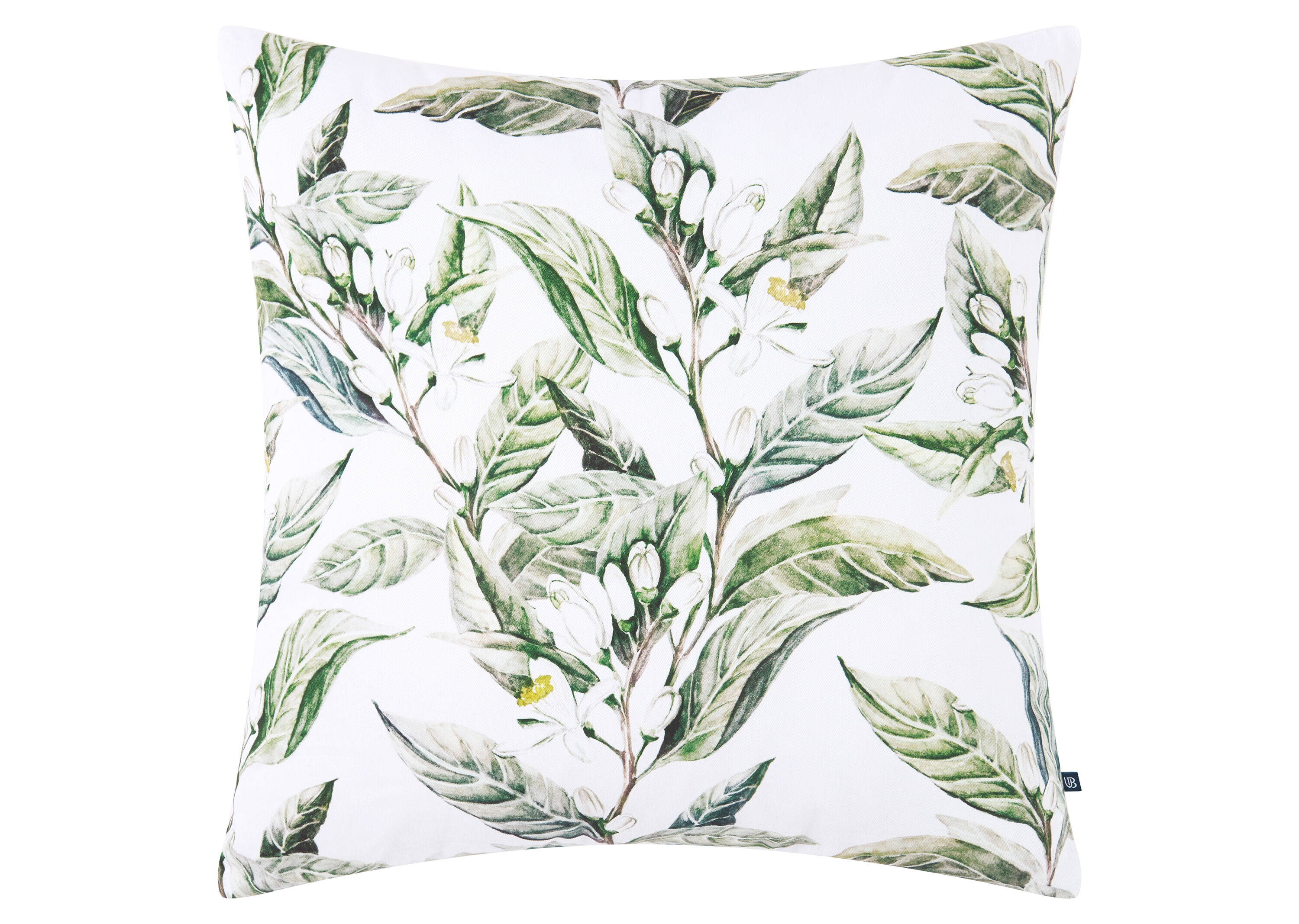 Lodi Toss 20x20 White/Green Urban Barn