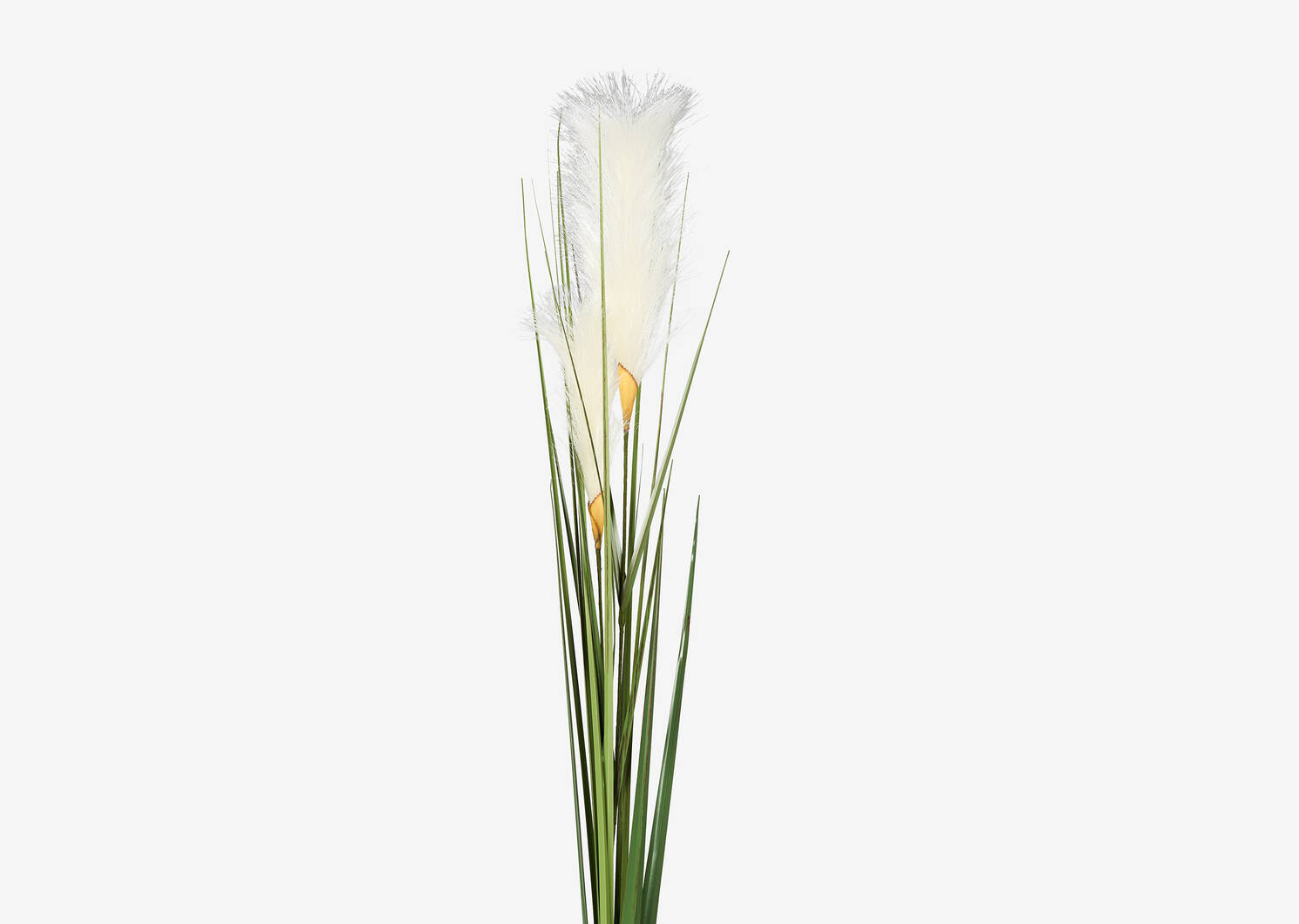 Adyn Bulrush Stem White