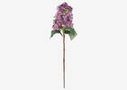 Beth Cone Hydrangea Stem Purple