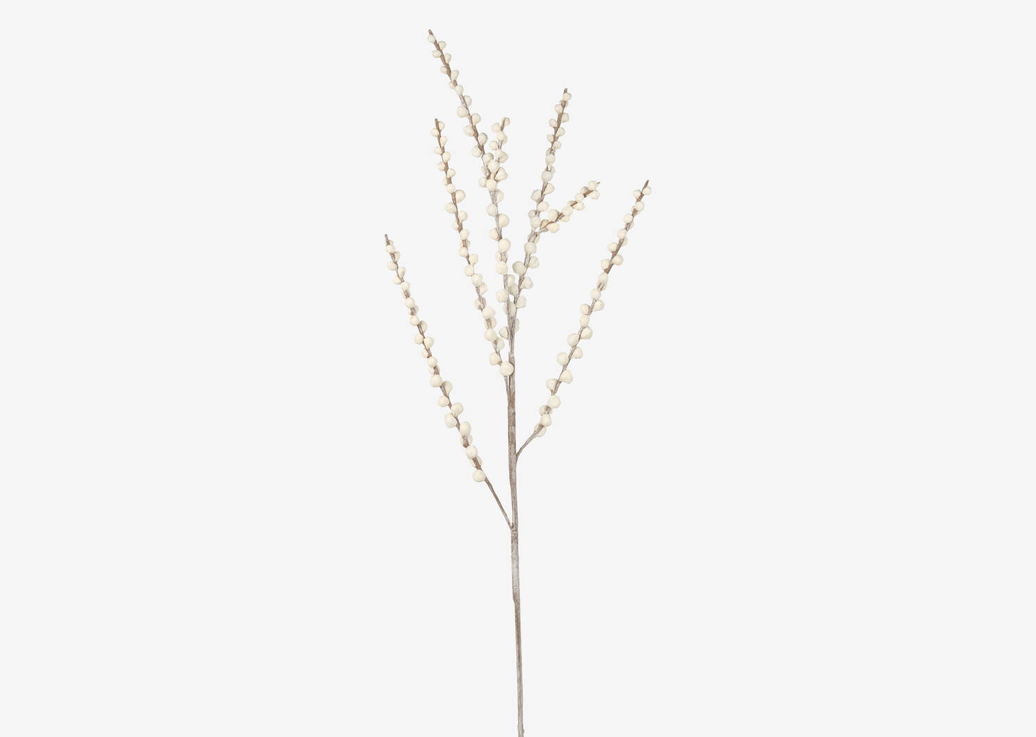 Corin Pussy Willow Stem White