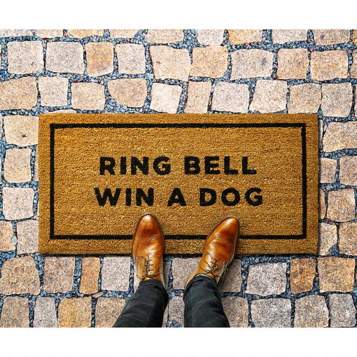 Ring Bell Win a Dog Doormat