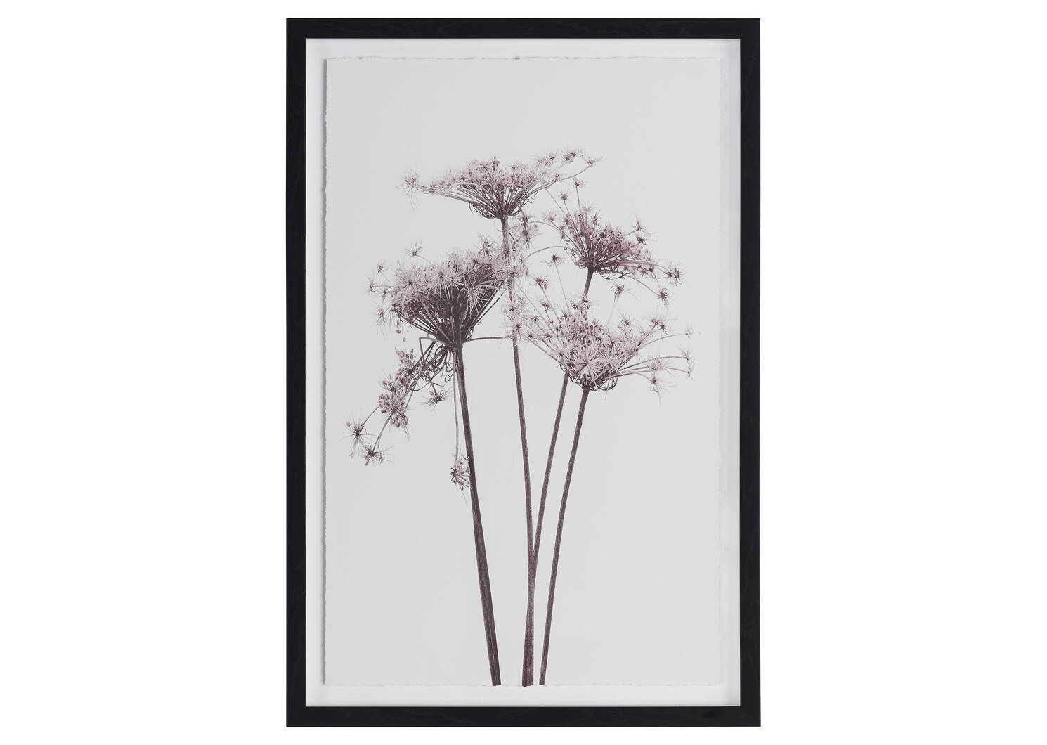 Wildflower 2 Wall Art Urban Barn