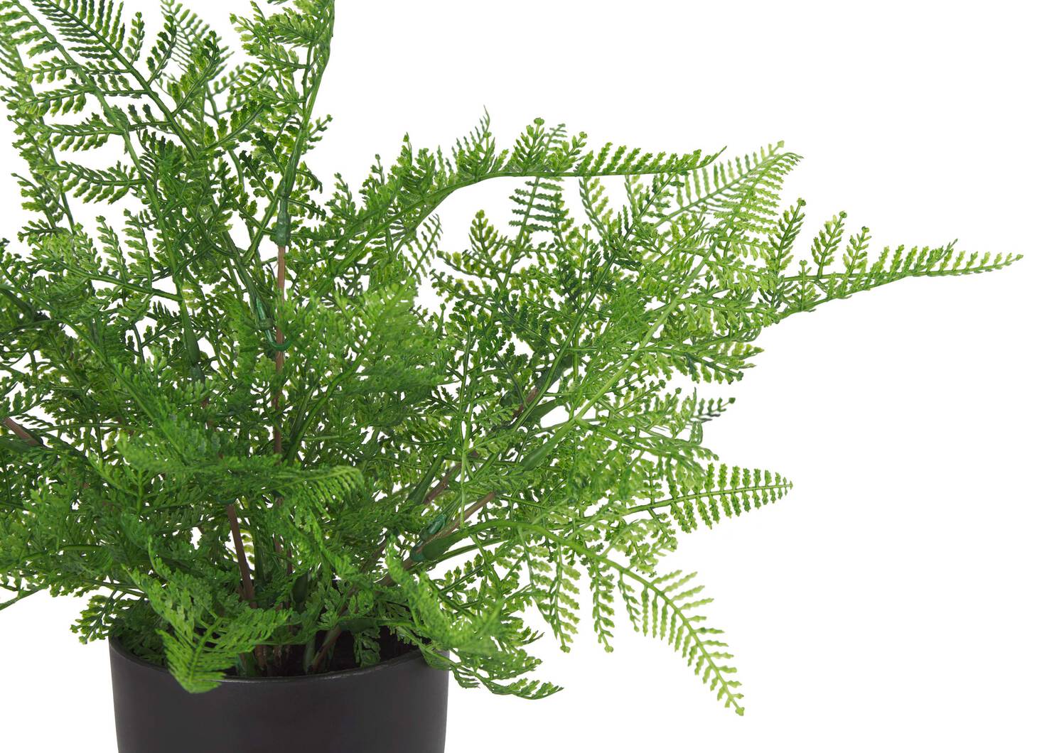 Kady Lace Fern Potted