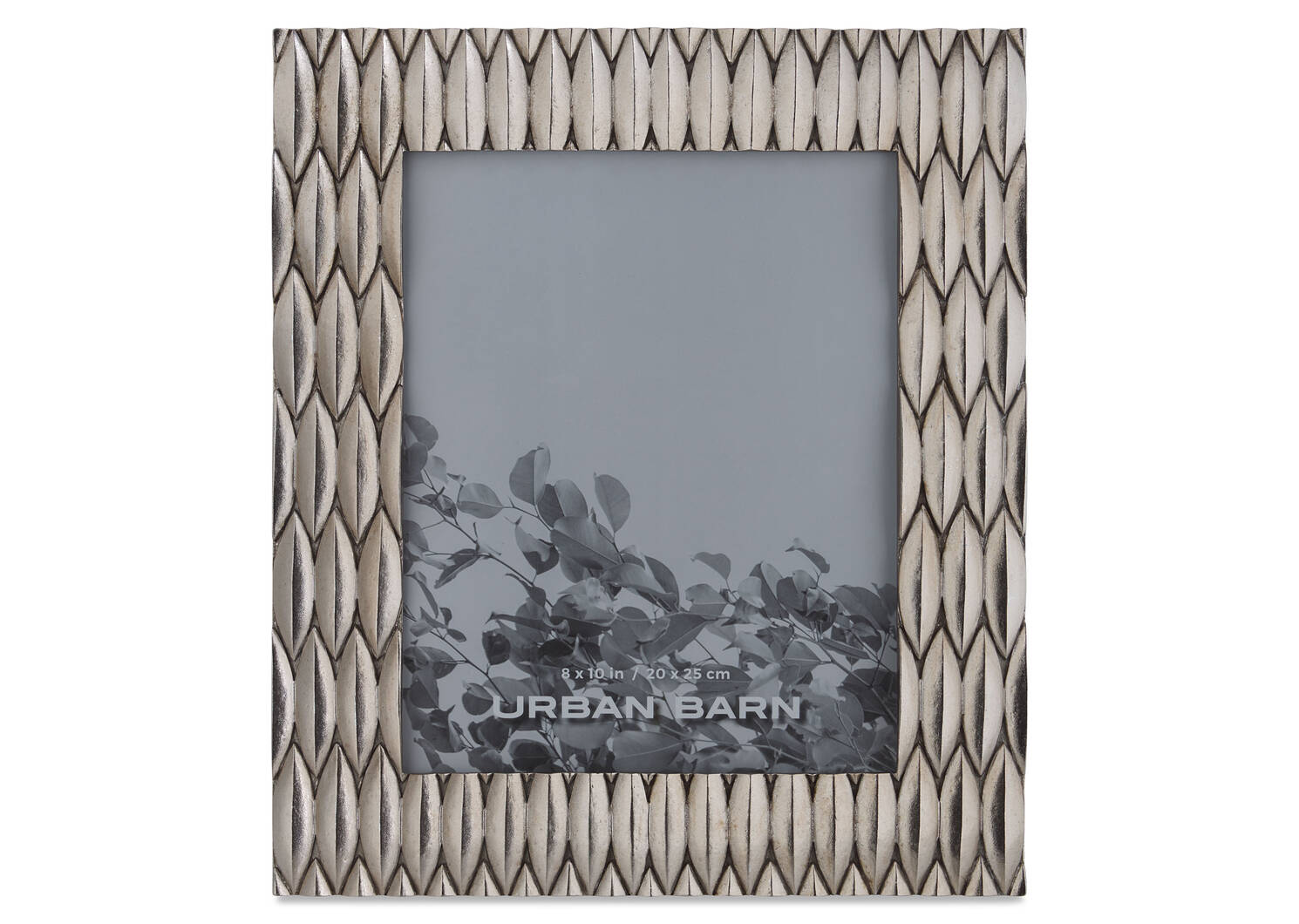 Clementine Frames Silver Urban Barn