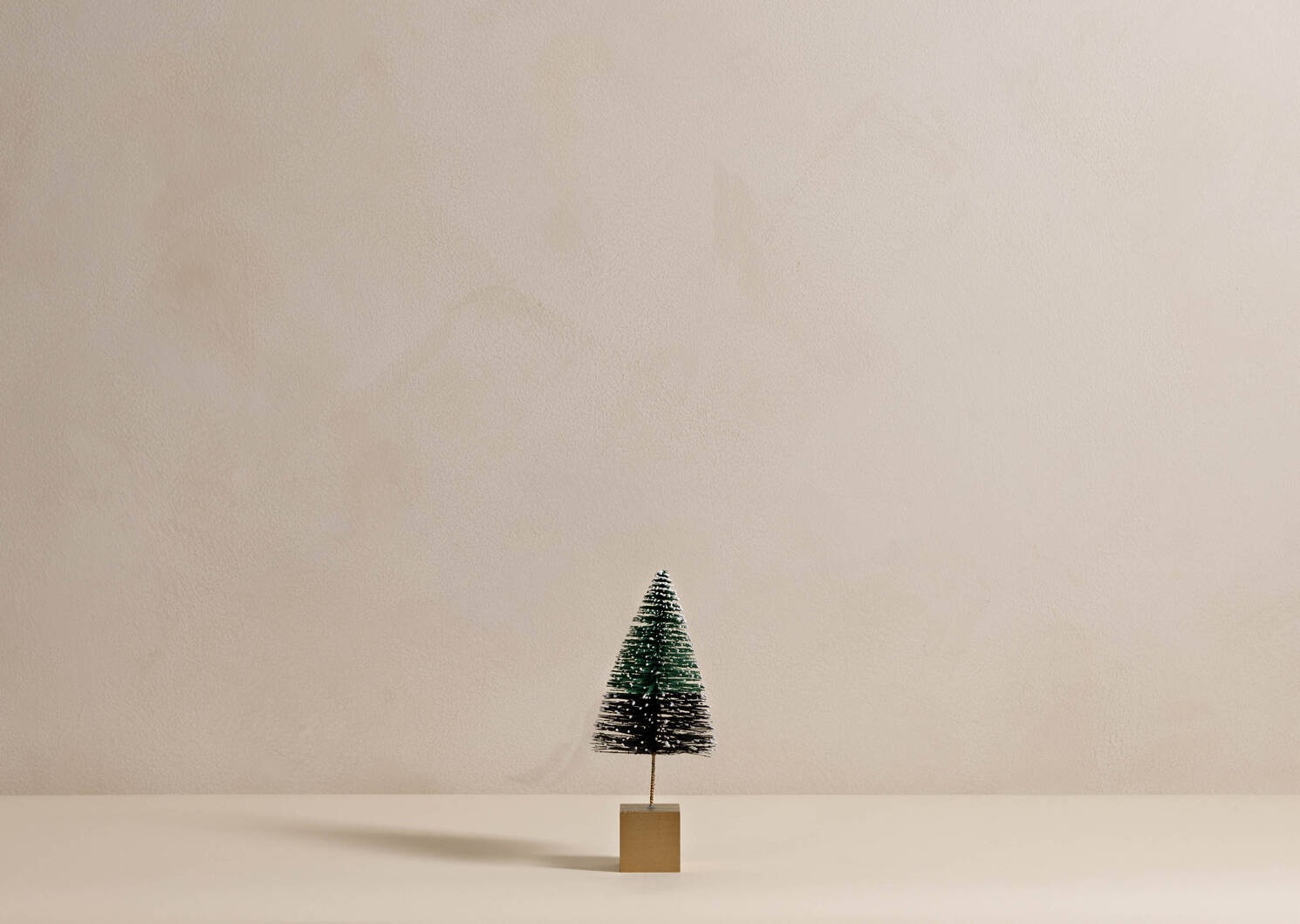 Byrne Bristle Christmas Trees