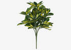 Boule de Schefflera Jolie