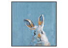 Toile lapin Rascal