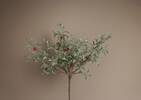 Winterberry Branch
