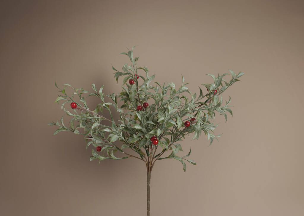 Winterberry Branch