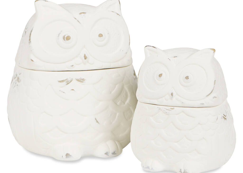 Bocaux hiboux Topher -blanc antique