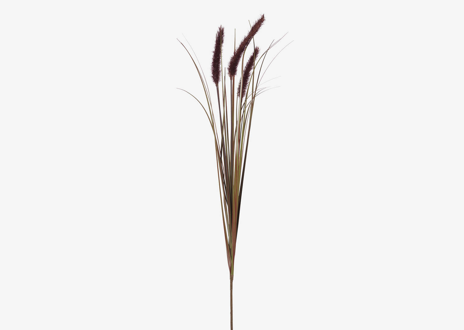 Gere Grass Stem Port