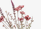 Deja Wild Rose Stem Pink Salt