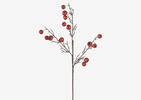 Bode Berry Branch Brandy