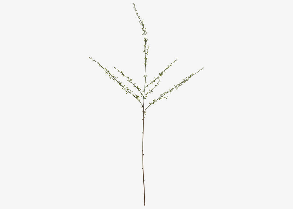 Hopper Mini Spring Branch