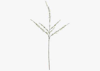 Branche mini pousses du printemps Hopper