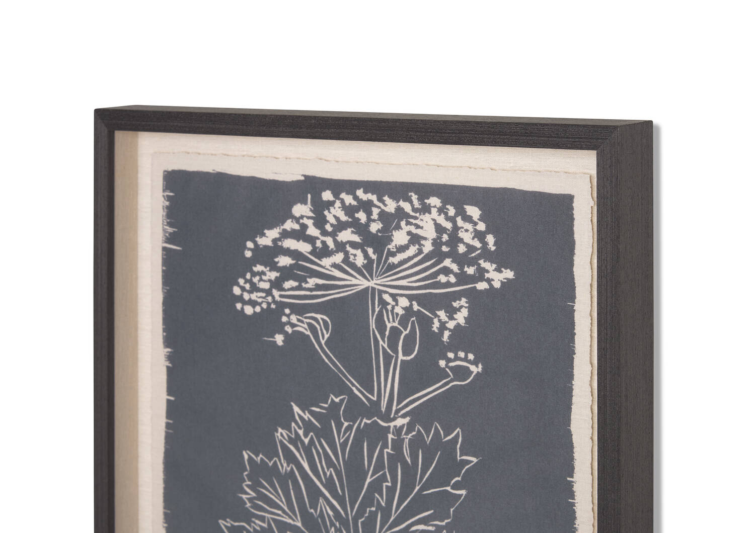 Giant Hogweed Framed Print