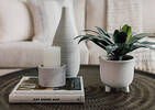 Adelie Planter Tall