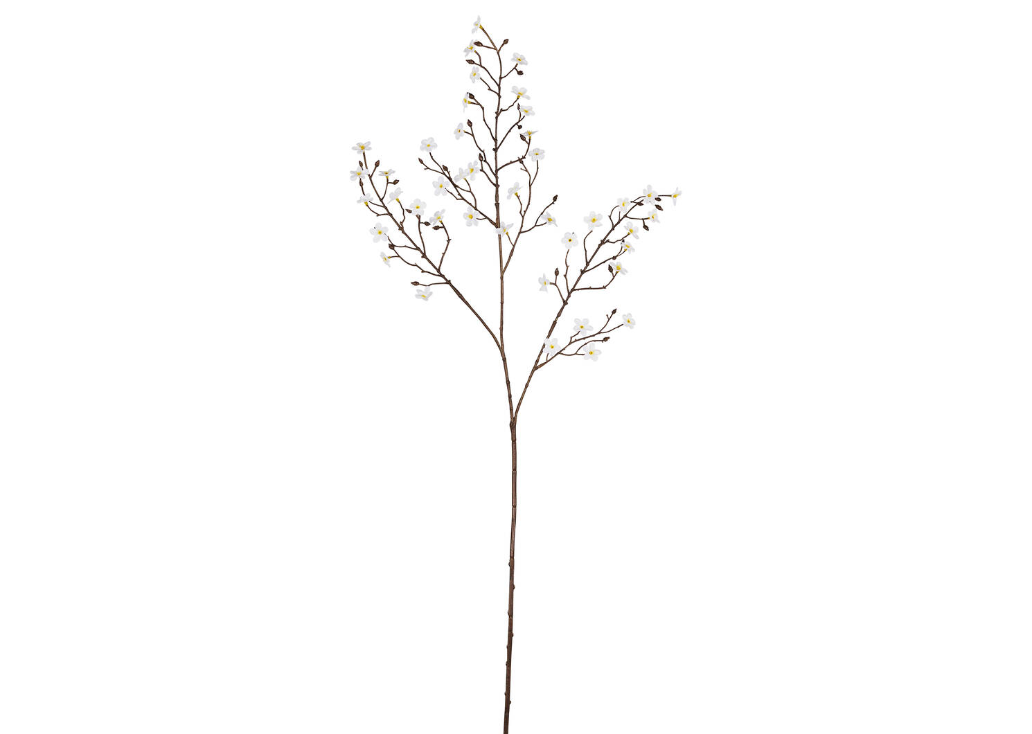 Jenny Gypsophila Branch