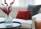 Clooney Toss 12x22 Amaryllis