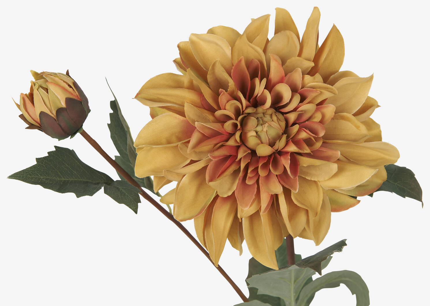 Meg Dahlia Branch Yellow