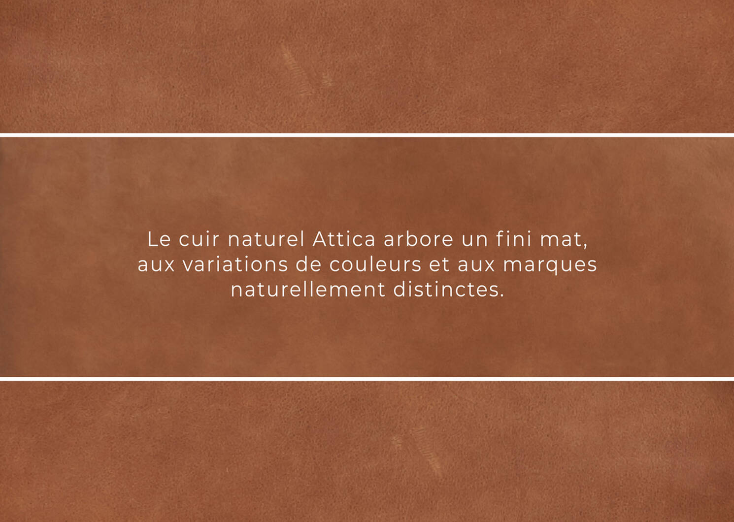 Fauteuil en cuir Lucca -Attica cannelle