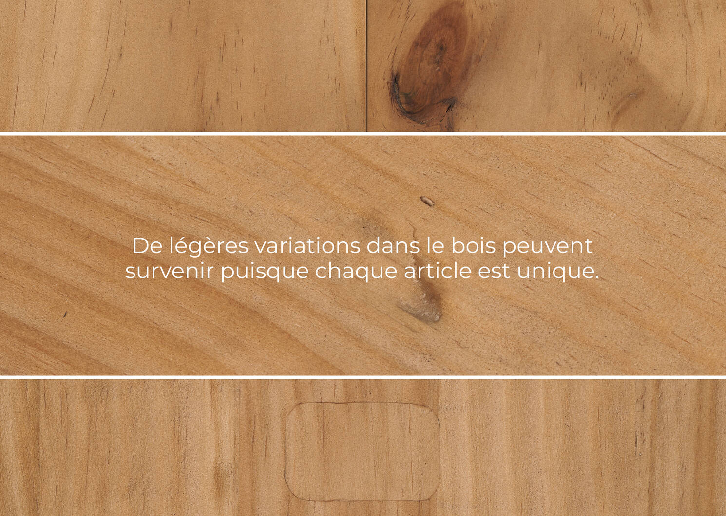 Bibliothèque Bedford -Cassius naturel