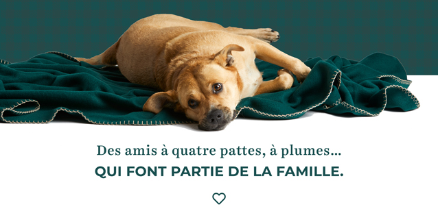 Un jeté à la fois.