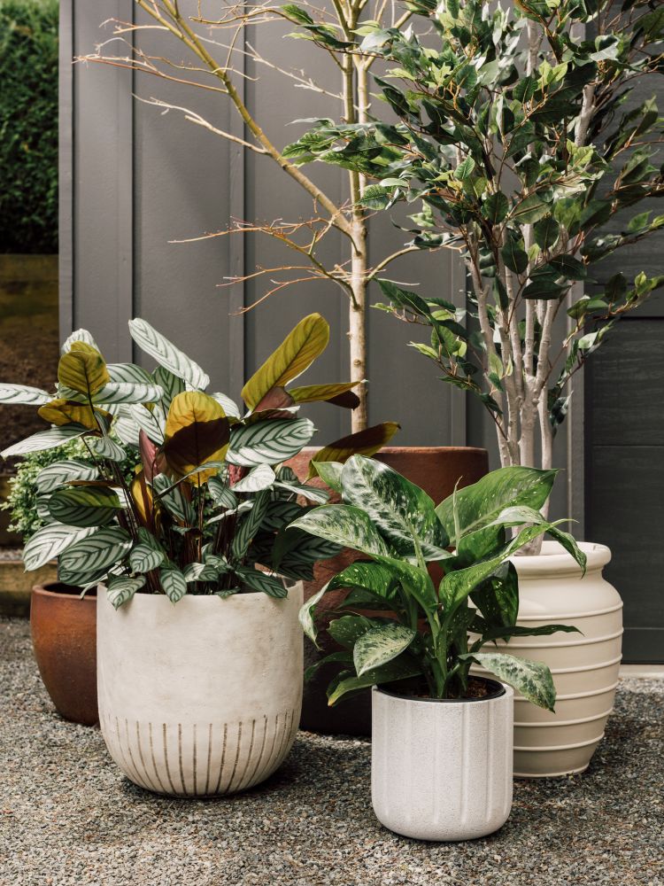 Outdoor Planters