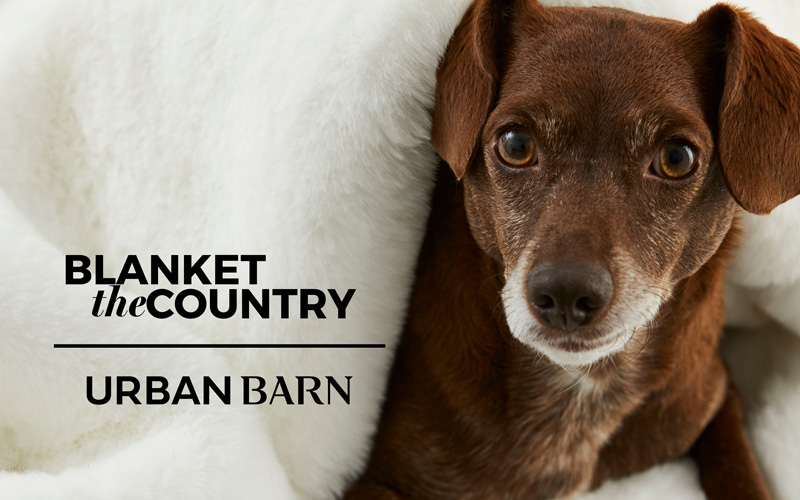 Blanket the Country