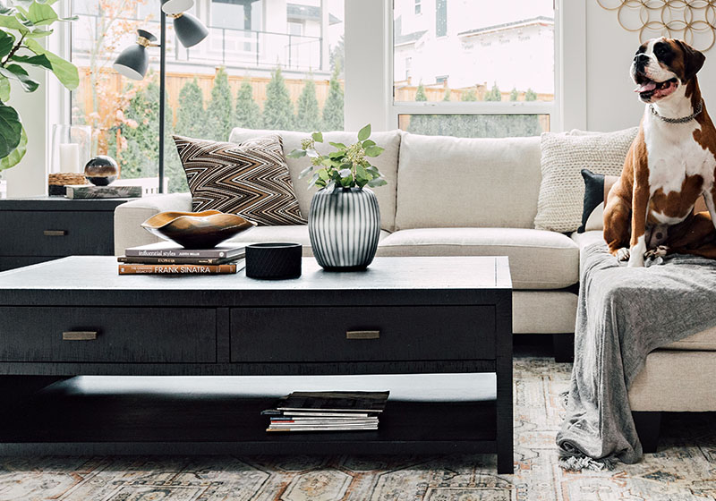 Living Room Furniture And Decor Accessories Urban Barn