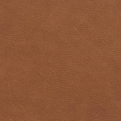 CANNELLE Leather CINNAMON