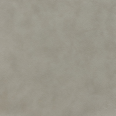 Leather ASH Leather ASH