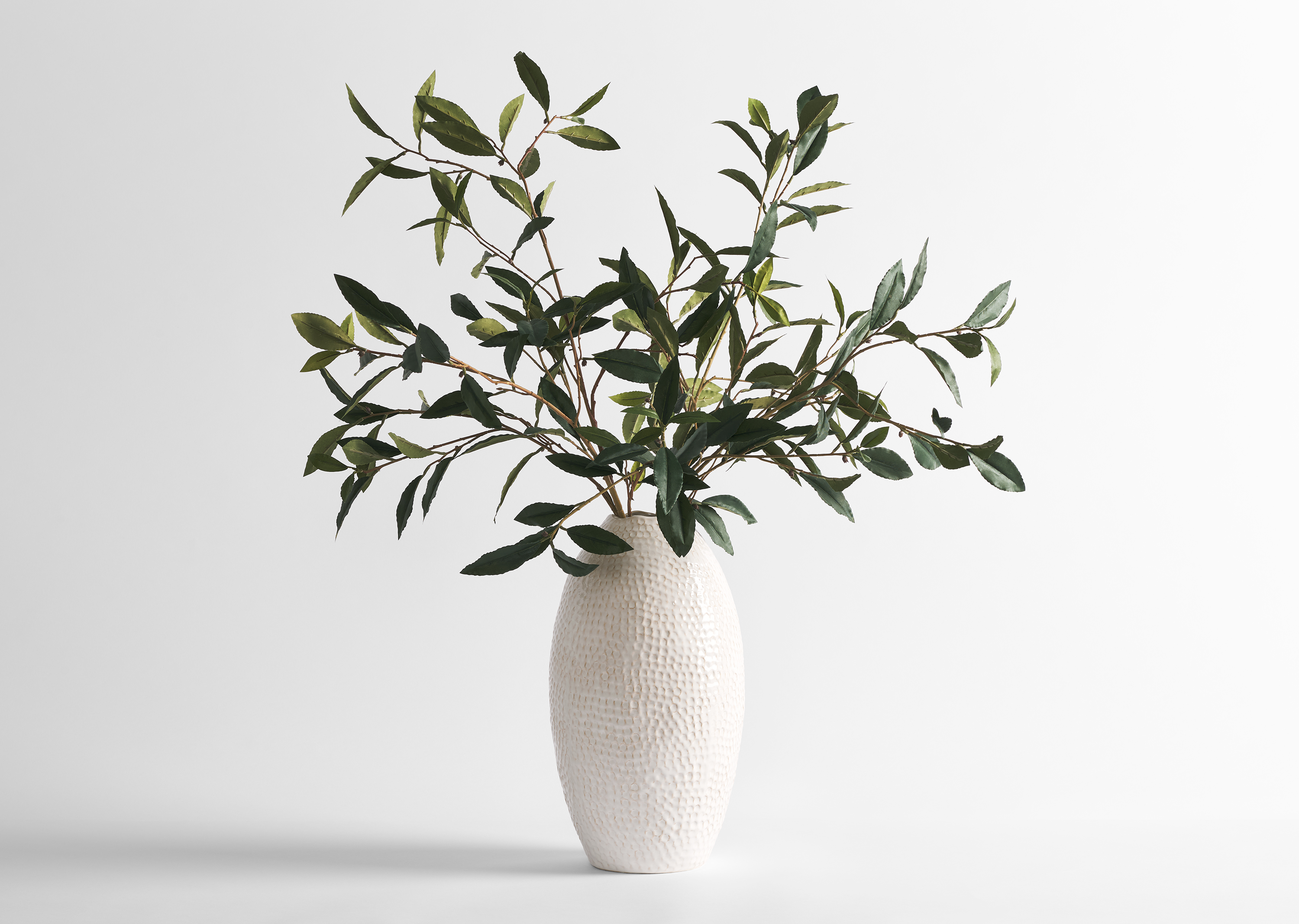 Abrell Vase & Elena Laurel Spray Branches